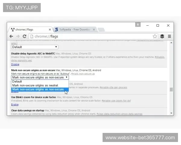 365真正网址官方入口最新版本，提供稳定安全的访问体验