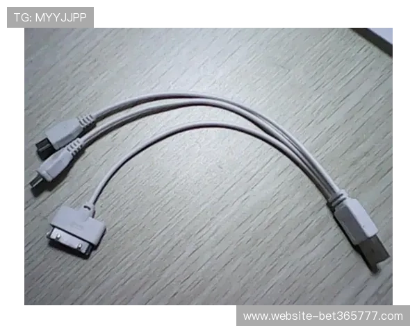 bet登录线路优化方案,提升登录速度和安全性的方法介绍 bet登录线路优化方案,提升登录速度和安全性的方法介绍