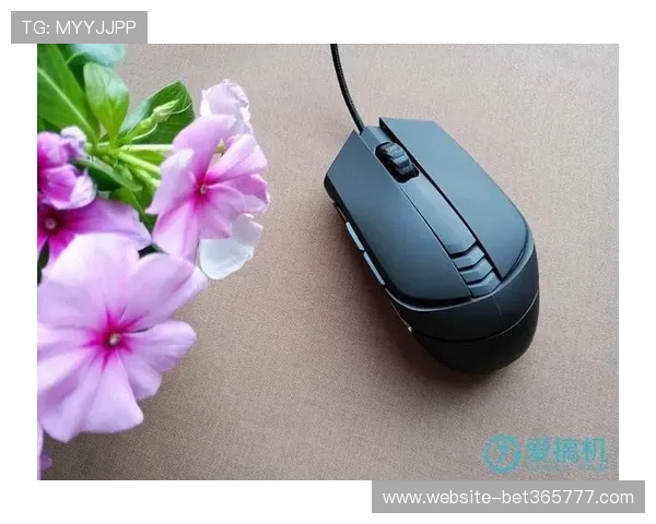 ebet电竞官方网址提供一站式游戏娱乐解决方案和极速的在线投注体验 ebet电竞官方网址提供一站式游戏娱乐解决方案和极速的在线投注体验