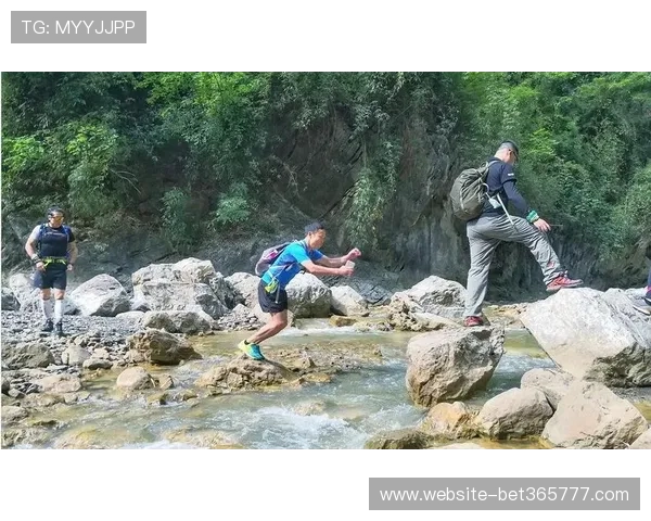 九鼎体育全面解析：如何选择适合自己的体育赛事平台提升运动体验