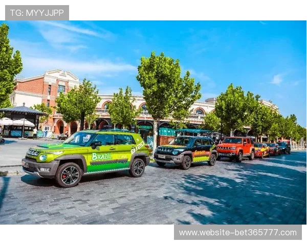 世界杯现场观赛交通攻略：公共交通、停车场信息及最佳出行方案推荐